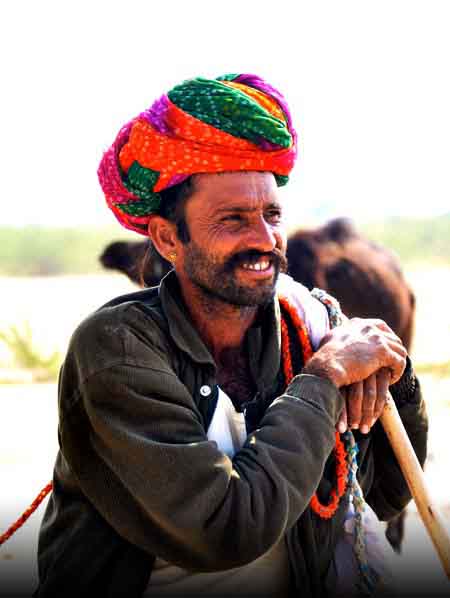A Rajasthani shepherd with colourful turban & Kurta with his herd in the village of Rajasthan I Nomads herd cow