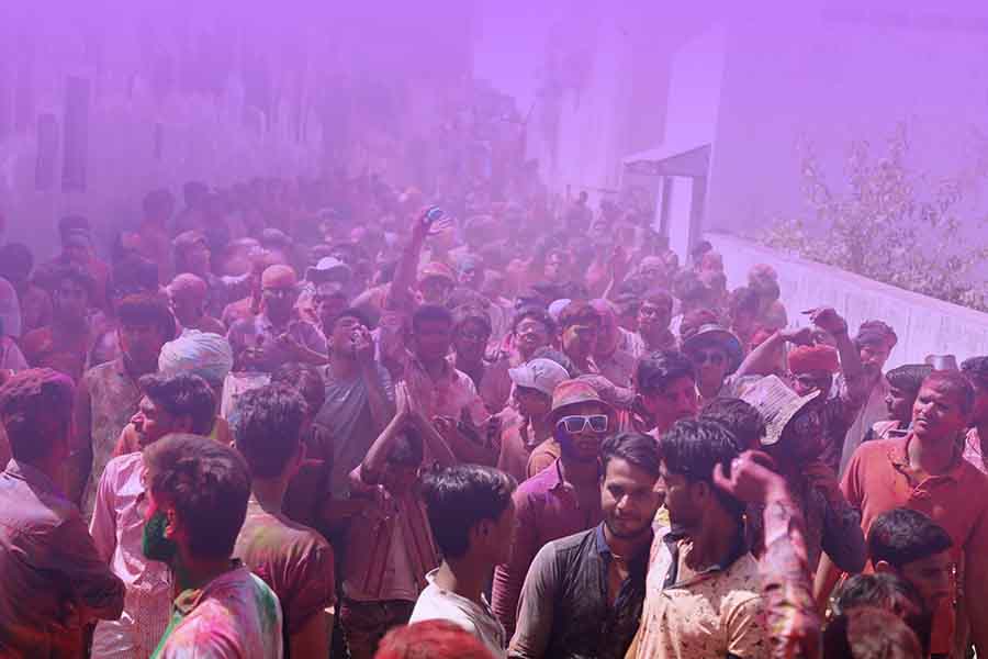 Madness of holi in Mandawa, Rajasthan. Enthralling Holi Celebration in India at Castle Mandawa, Rajasthan